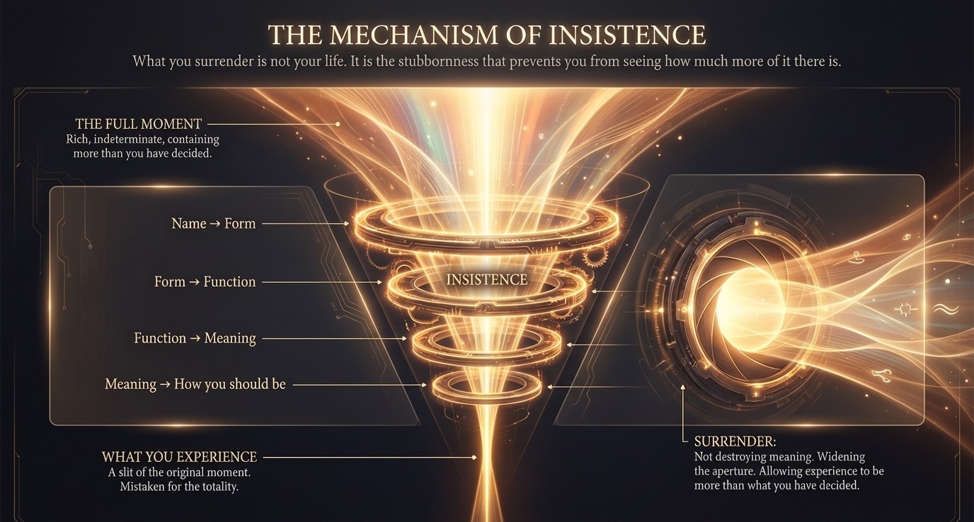 The mechanism of insistence: how determination narrows the aperture of experience